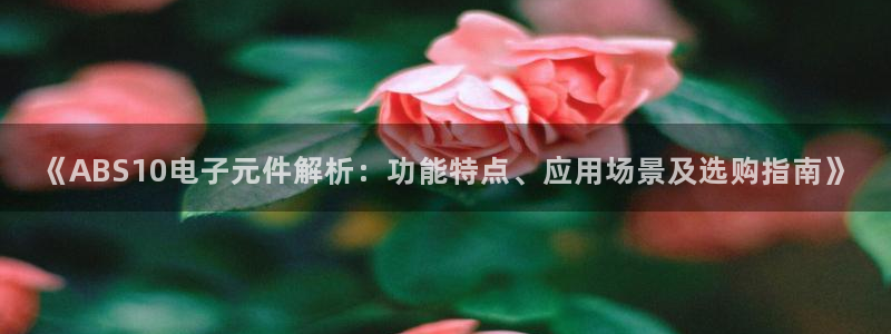 pg电子是什么公司