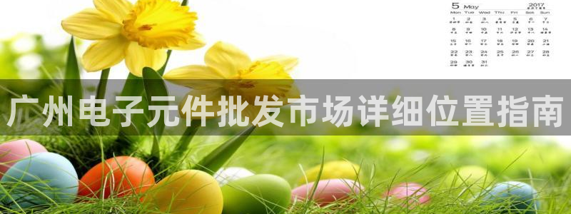pg试玩平台：广州电子元件批发市场详细位置指南