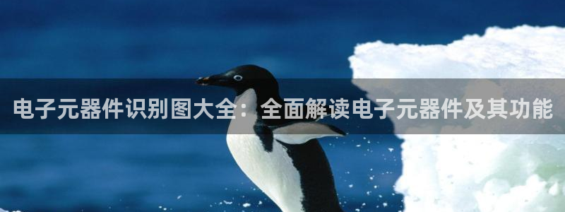 Pg电子体验服下载：电子元器件识别图大全：全面解读电子元器件及其功能