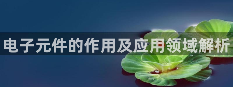 哪里有pg电子试玩：电子元件的作用及应用领域解析