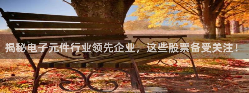 pg电子在线游戏：揭秘电子元件行业领先企业，这些股票备受关注！