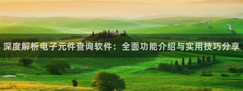 pg电子几点更新：深度解析电子元件查询软件：全面功能介绍与实用技巧分享
