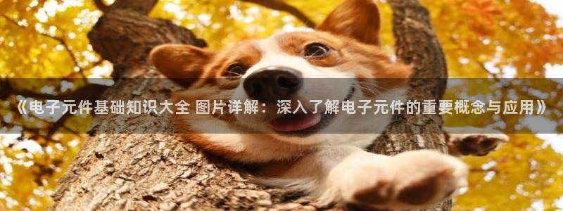 pg电子试玩入口下载