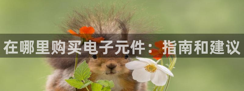 PG电子J777：在哪里购买电子元件：指南和建议