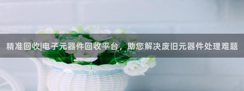 pg电子平台网站官网