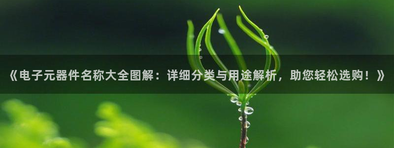电子游戏pg平台：《电子元器件名称大全图解：详细分类与用途解析，助您轻松选购！》