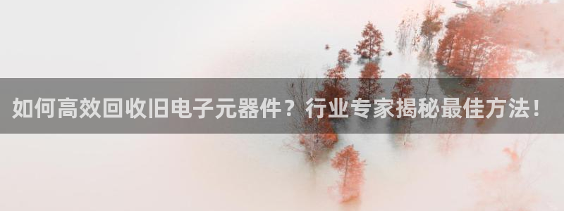 pg电子是什么平台