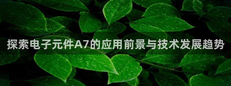 pg电子游戏试玩模拟网站：探索电子元件A7的应用前景与技术发展趋势