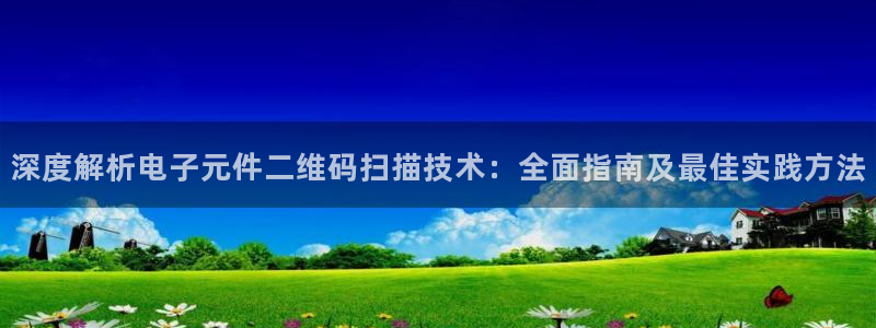 pg电子官网暨ly79典cn：深度解析电子元件二维码扫描技术：全面指南及最佳实践