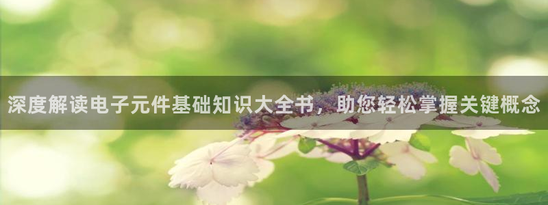 pg电子游戏平台：深度解读电子元件基础知识大全书，助您轻松掌握关键概念