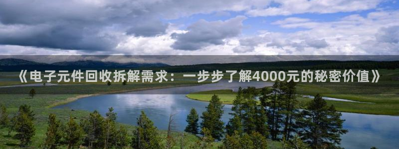 pg电子在哪里可以玩啊：《电子元件回收拆解需求：一步步了解4000元的秘密价值》