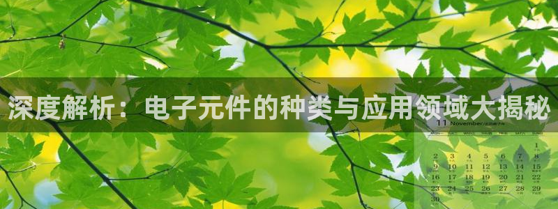 pg电子游戏软件有哪些免费：深度解析：电子元件的种类与应用领域大揭秘