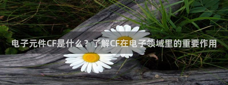 PG电子M72.BET：电子元件CF是什么？了解CF在电子领域里的重要作用