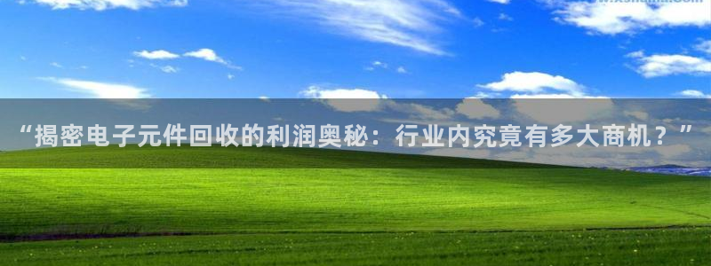 pg电子全称：“揭密电子元件回收的利润奥秘：行业内究竟有多大商机？”