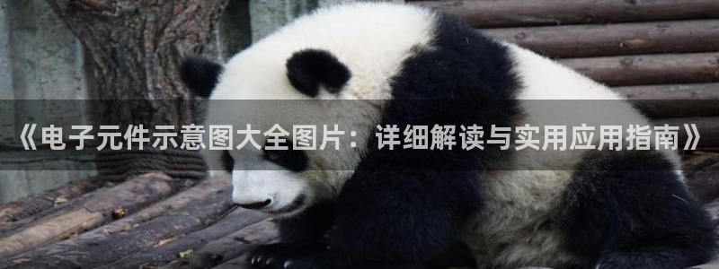 pg电子游戏试玩模拟：《电子元件示意图大全图片：详细解读与实用应用指南》