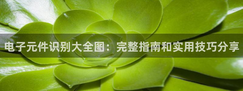哪里可以试玩pg电子：电子元件识别大全图：完整指南和实用技巧分享