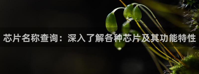 免费pg电子游戏的安全性问题