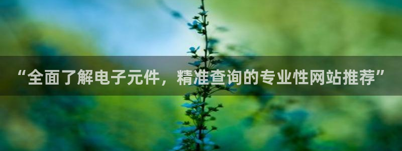pg电子aqq：“全面了解电子元件，精准查询的专业性网站推荐”