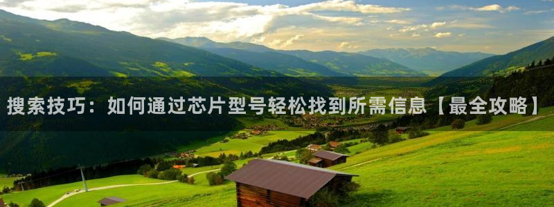 pg电子游戏试玩：搜索技巧：如何通过芯片型号轻松找到所需信息【最全攻略】