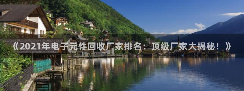 pg电子有官方网站吗知乎：《2021年电子元件回收厂家排名：顶级厂家大揭秘！》