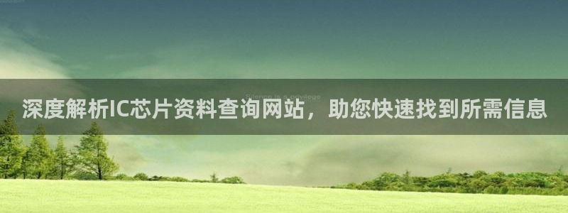 pg电子游戏官网官方网站181VIP：深度解析IC芯片资料查询网站，助您快速找到