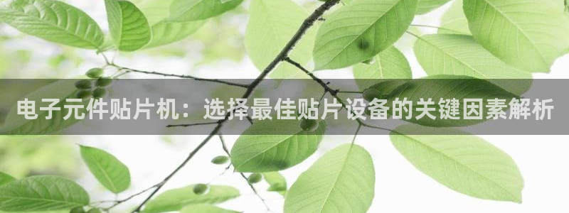 pg电子游戏公司怎么样：电子元件贴片机：选择最佳贴片设备的关键因素解析