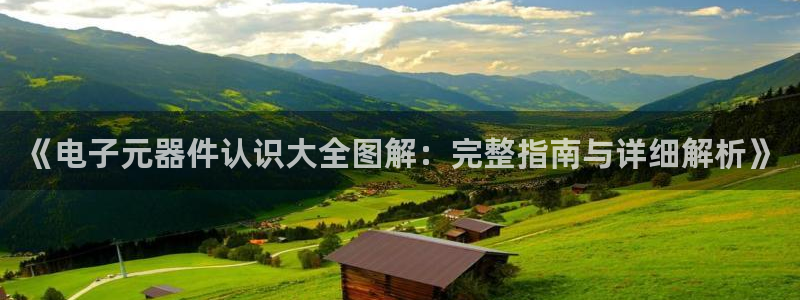 pg电子平台可以控制吗：《电子元器件认识大全图解：完整指南与详细解析》