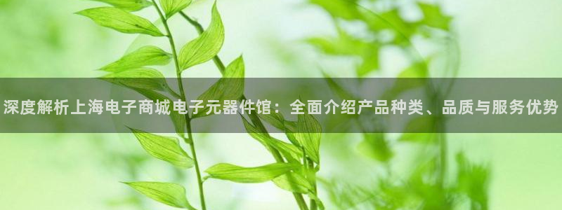 pg电子游戏单机版下载：深度解析上海电子商城电子元器件馆：全面介绍产品种类、品质