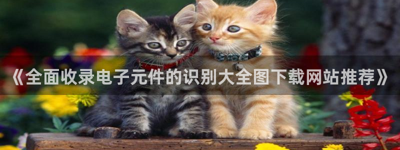 pgsoft-games模拟器：《全面收录电子元件的识别大全图下载网站推荐》