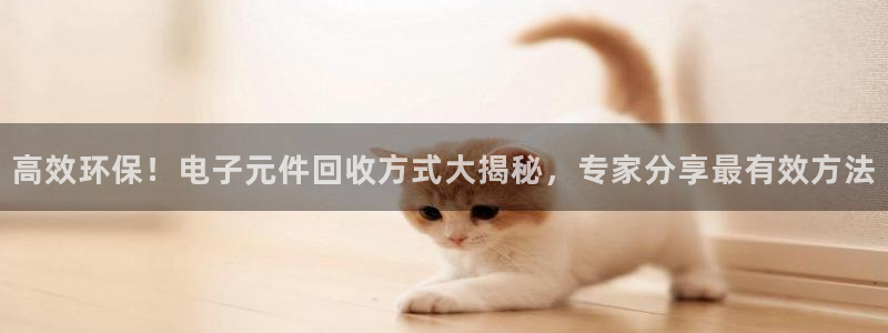 PG电子模拟器网页版：高效环保！电子元件回收方式大揭秘，专家分享最有效方法