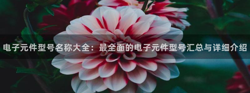 免费试玩pg电子：电子元件型号名称大全：最全面的电子元件型号汇总与详细介绍
