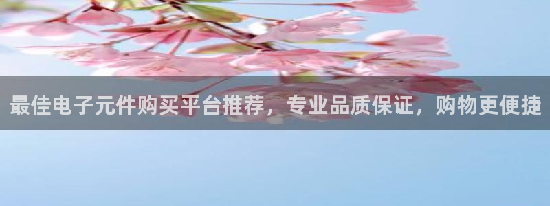 PG电子平台能控制嘛：最佳电子元件购买平台推荐，专业品质保证，购物更便捷