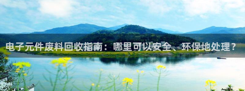 PG电子J777：电子元件废料回收指南：哪里可以安全、环保地处理？