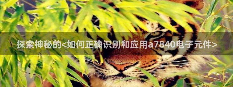 pg电子试玩教程视频大全：探索神秘的<如何正确识别和应用a7840电子元件>