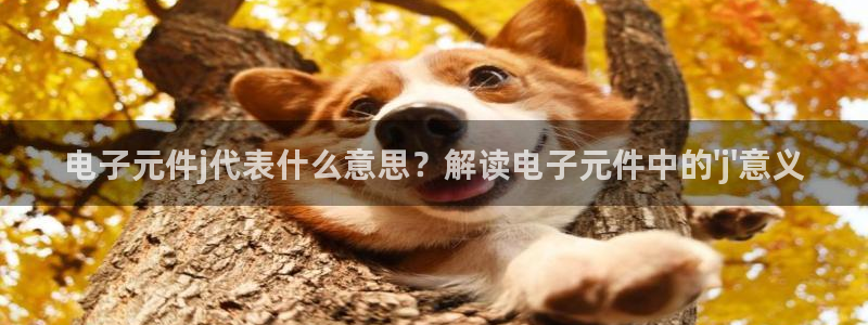 pg电子娱乐平台：电子元件j代表什么意思？解读电子元件中的\'j\'意义
