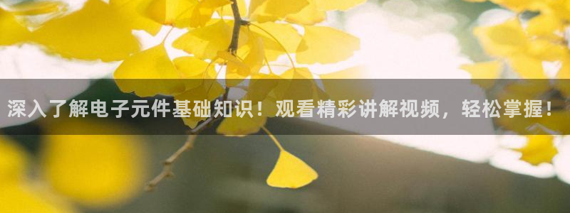 pg电子插件功能是什么：深入了解电子元件基础知识！观看精彩讲解视频，轻松掌握！