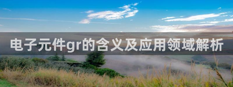 电子pg游戏官网入口手机版免费：电子元件gr的含义及应用领域解析