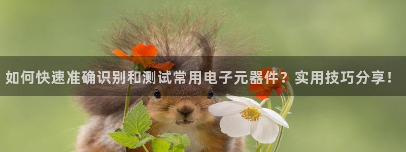 pg电子平台不凡成就非凡