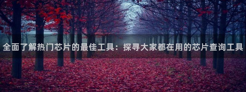 pg电子麻将胡了直播哪里看：全面了解热门芯片的最佳工具：探寻大家都在用的芯片查询