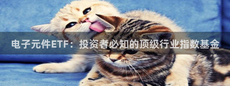 pg电子哪里可以试玩的：电子元件ETF：投资者必知的顶级行业指数基金