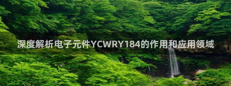 PG电子体验版：深度解析电子元件YCWRY184的作用和应用领域