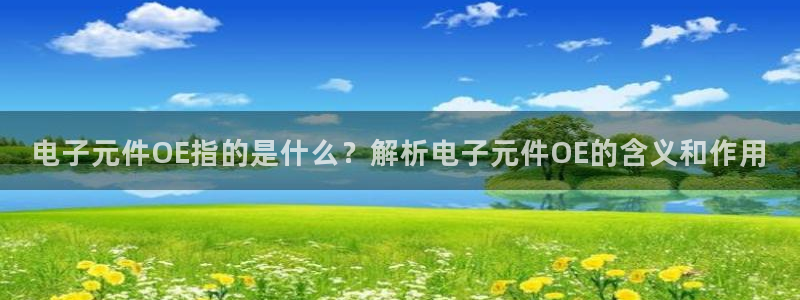 pg电子模拟器安卓版：电子元件OE指的是什么？解析电子元件OE的含义和作用