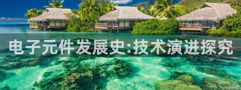 pg电子有官方网站买吗