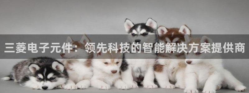 pg电子游戏软件有哪些：三菱电子元件：领先科技的智能解决方案提供商