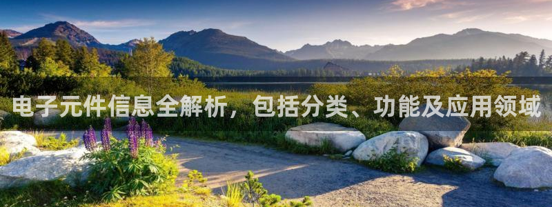 免费pg电子游戏官网