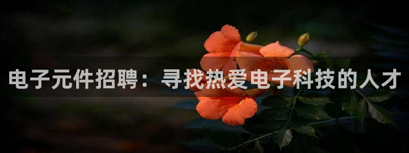 PG电子模拟器网站
