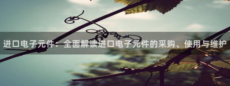 pg电子游戏试玩平台网站：进口电子元件：全面解读进口电子元件的采购、使用与维护