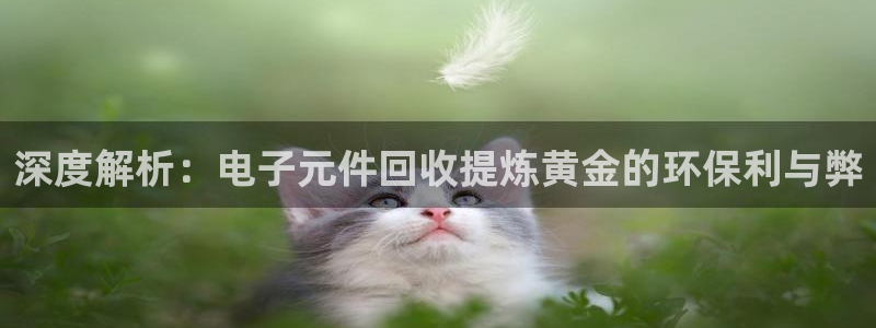 免费pg电子游戏麻将在线玩：深度解析：电子元件回收提炼黄金的环保利与弊