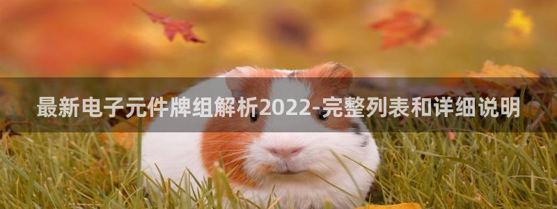 pg电子作弊：最新电子元件牌组解析2022-完整列表和详细说明