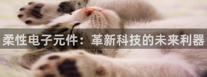 pg电子模拟器免费：柔性电子元件：革新科技的未来利器